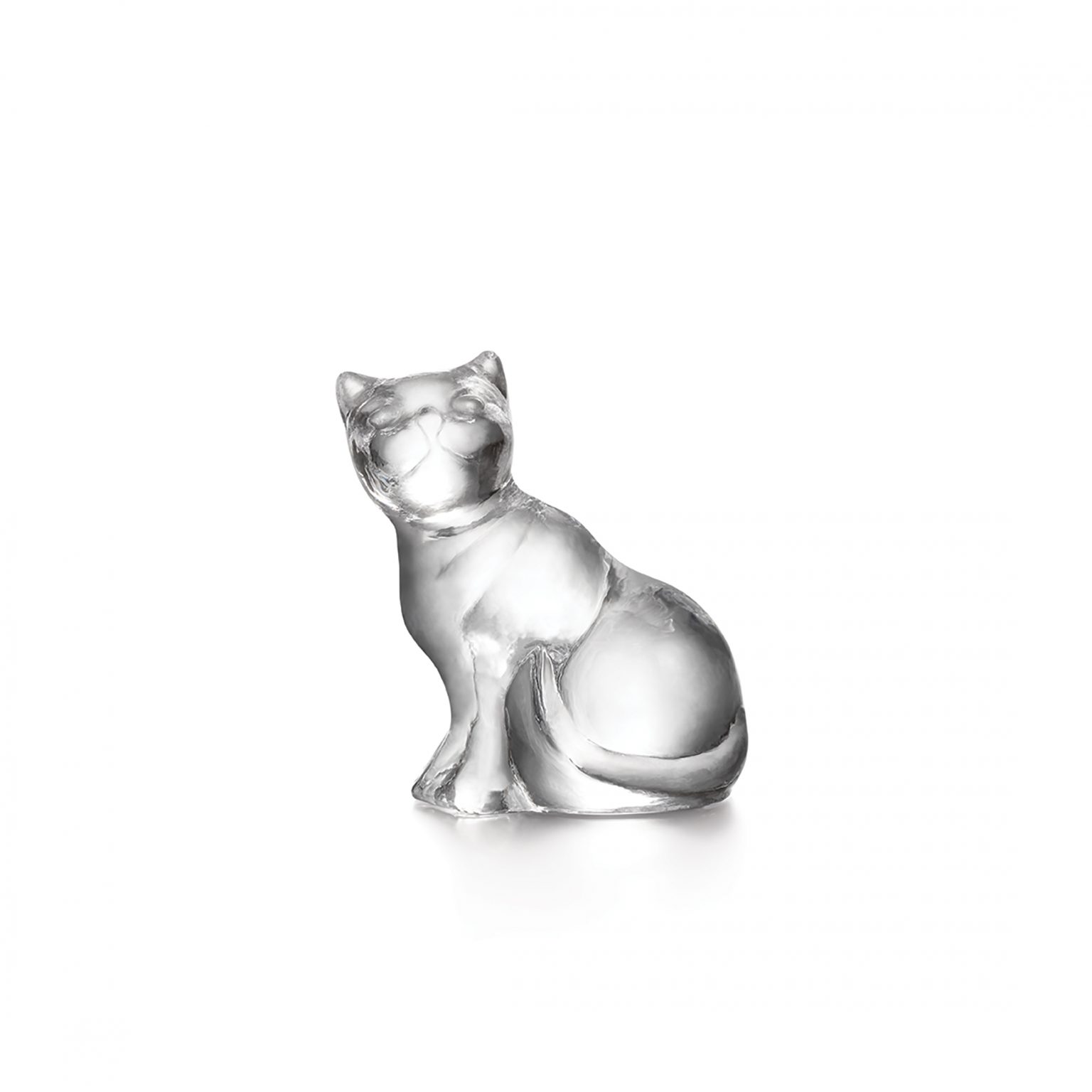 Glass Cat Matterns Floral