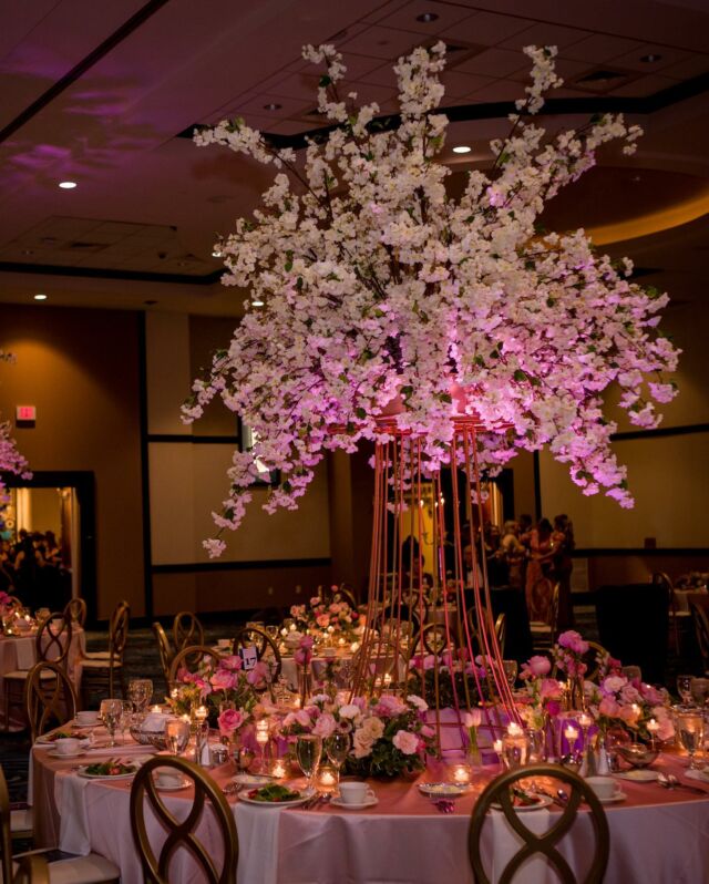 The @geisingercommonwealth gala was complete with sixteen foot cherry blossom trees, insane amounts of candle light, and thousands of spring blooms. 🌸  A year in the making it’s one of our favorite events and benefits our community immensely. 

📷 : @kaskophoto 
Linens and chairs: @scranton_rent_all
